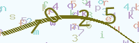 Verify Code